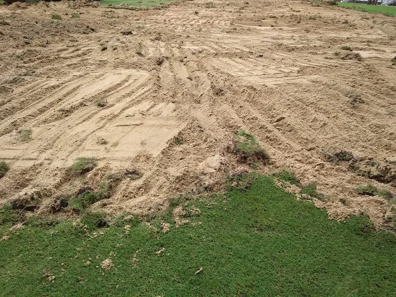 Imagem mostra gramado