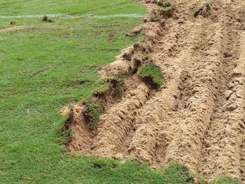 Troca do gramado já foi iniciada.