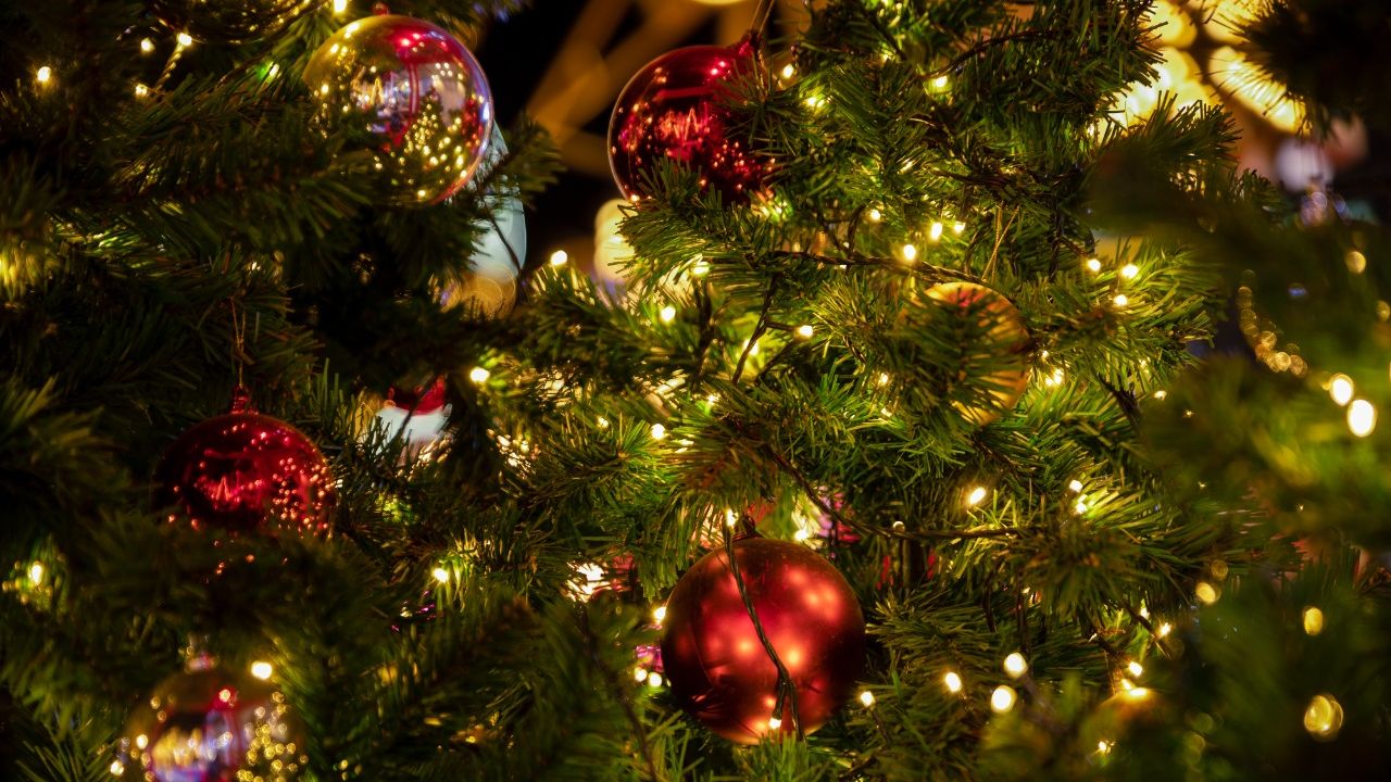 Árvore de Natal: 8 ideias para quem quer fugir do tradicional