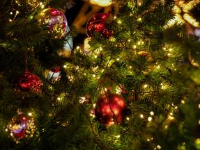 Independentemente do estilo de árvore escolhido, depois que a gente encaixota todos os adereços na despedida da temporada natalina para abraçar o novo ano, fica em nós as lembranças dos momentos vividos ao redor dela