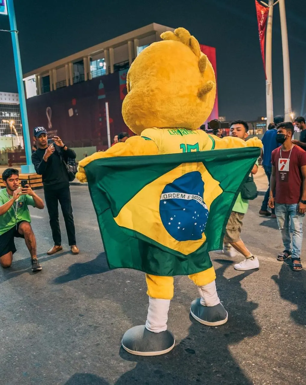Imagem mostra  pessoa fantasiada de passarinho