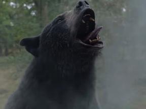 Urso do filme Cocaine Bear em momento de fúria durante cena do filme