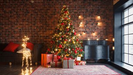 Quanto custa montar uma árvore de Natal? Veja dicas para economizar -  Negócios - Diário do Nordeste