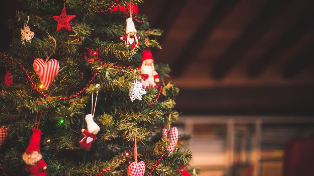 Quando desmontar a árvore de Natal? Entenda a tradição - Casa - Diário do  Nordeste
