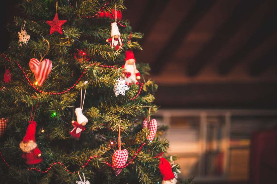 Quando desmontar a árvore de Natal? Entenda a tradição - Casa - Diário do  Nordeste