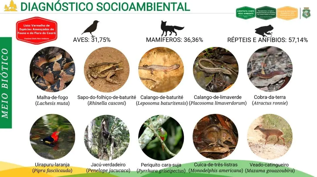 Print do estudo mostrando as espécies ameaçadas