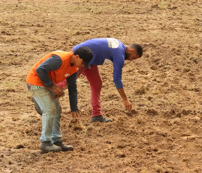 Imagem mostra campo de futebol plantando