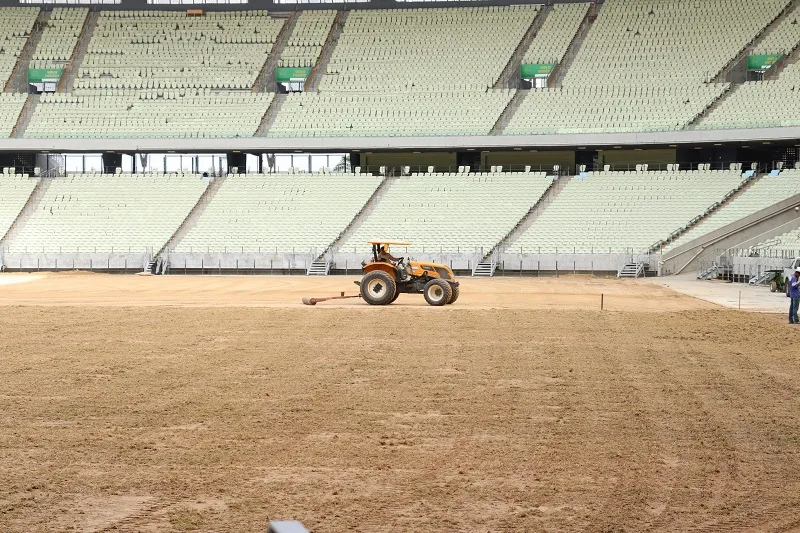 Plantio foi concluído na madrugada deste sábado.