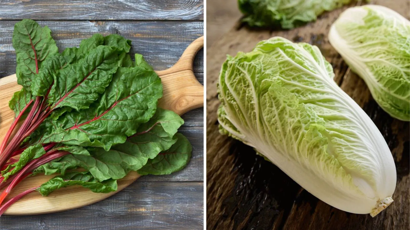 A acelga (à esquerda) e a couve chinesa (à direita) são vegetais diferentes