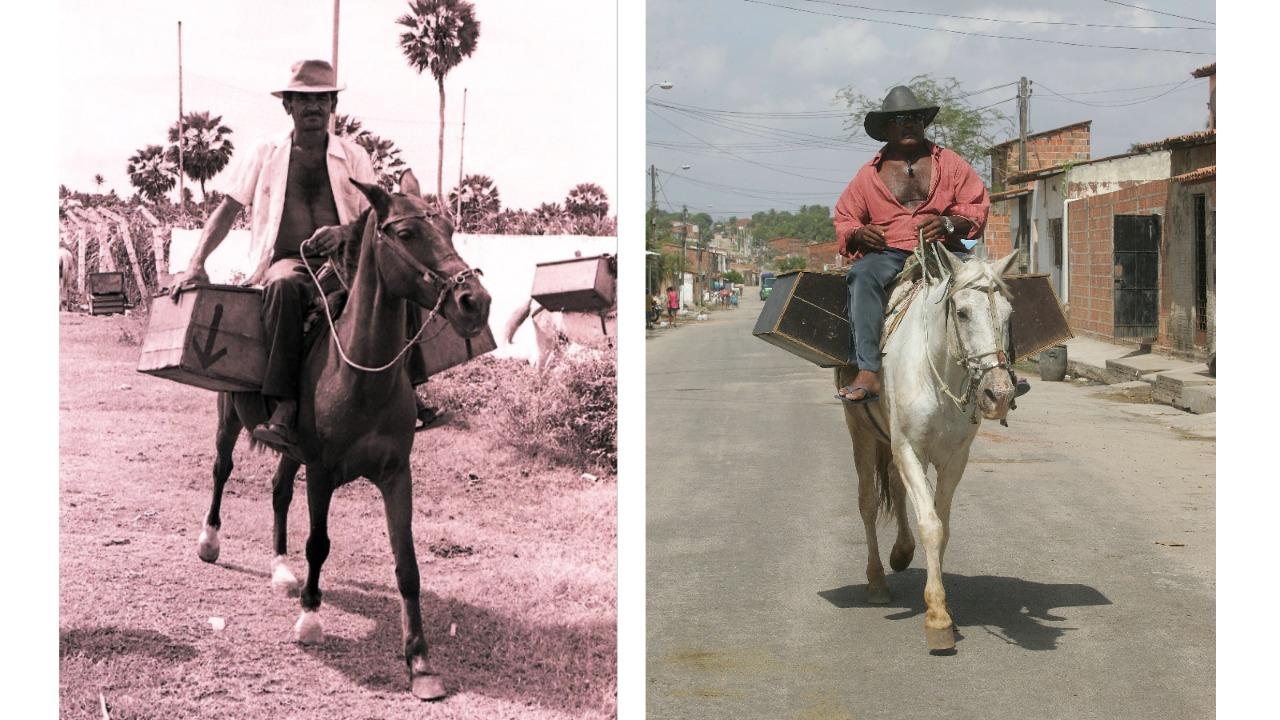 Figueiros em ação nos anos de 1983 e 2012