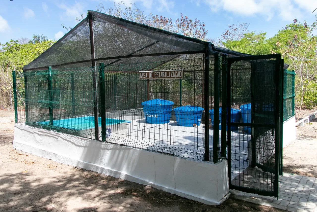 Espaço deve oferecer condições adequadas para os primeiros socorros dos animais