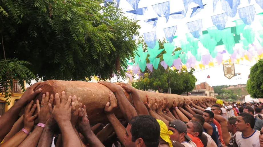 Cerca de 200 carregadores participam do cortejo do tronco