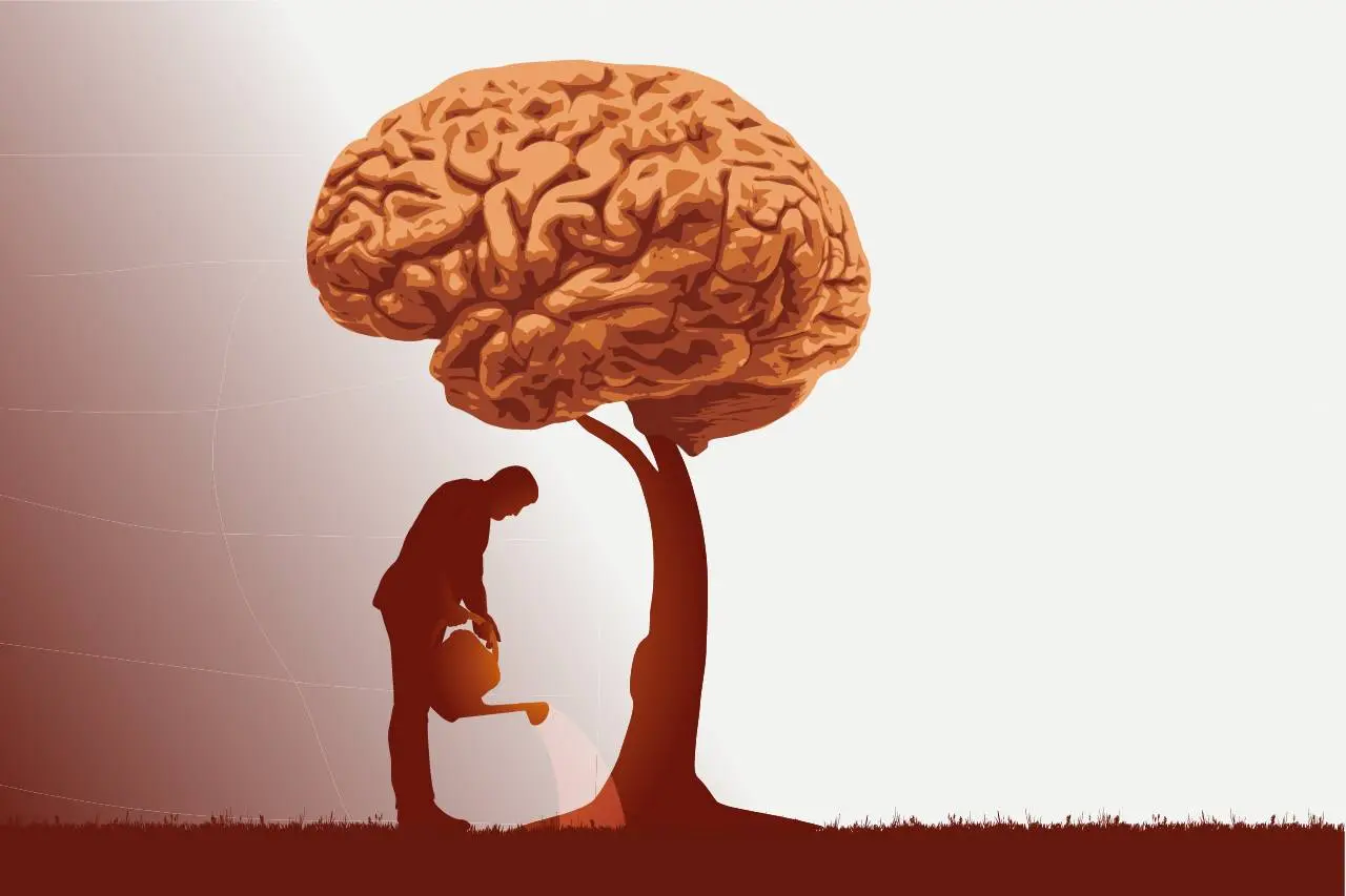 Ilustração de aprendizado