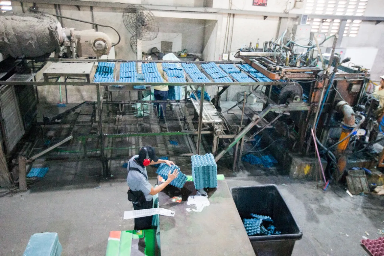 Relife Embalagens produz cerca de 35 mil bandejas de ovos diariamente.