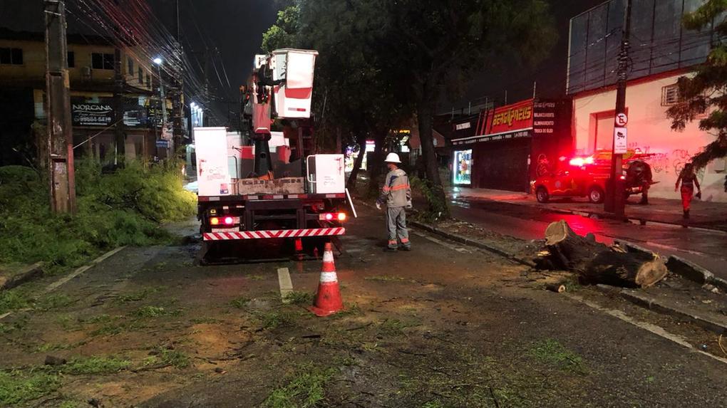 Bombeiros recolhem árvore que caiu e atingiu carro na avenida Pontes Vieira, em Fortaleza, na noite de 24 de janeiro de 2023