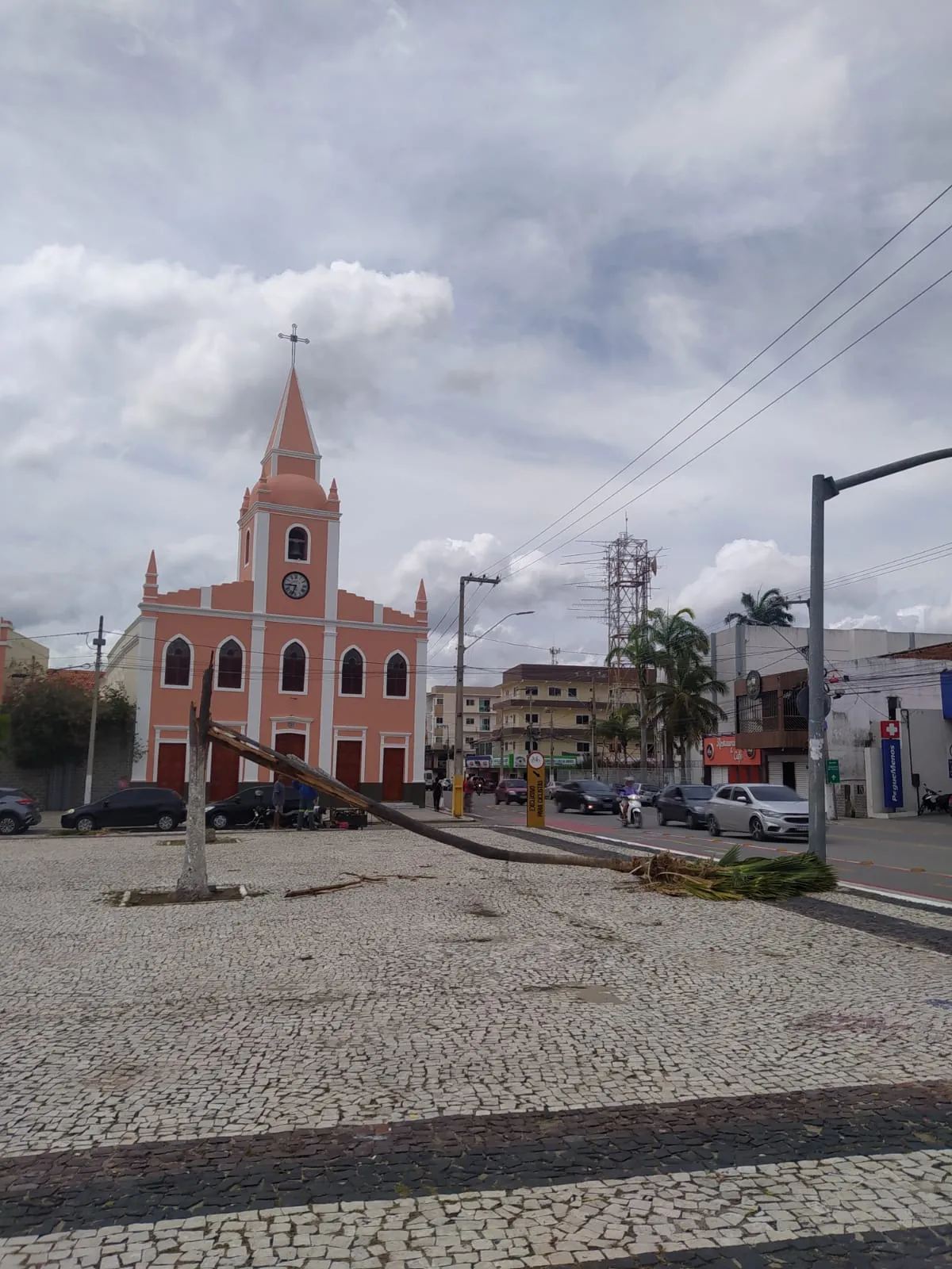 As chuvas também provocaram danos em árvores e postes.