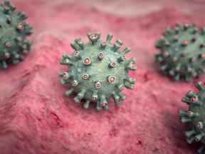 reprodução de vírus infectando células humanas