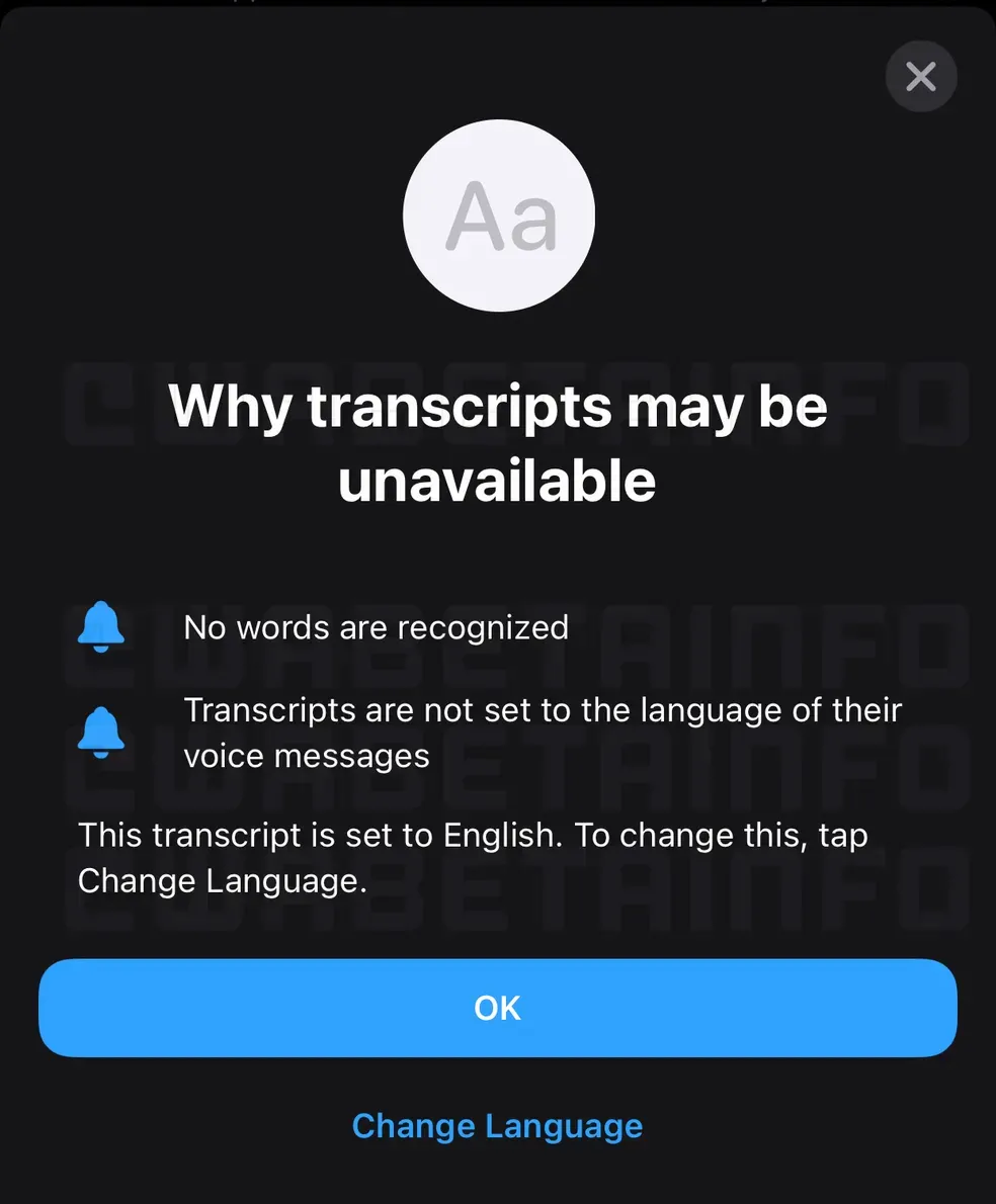 Mensagens de áudio devem poder ser convertidas em texto