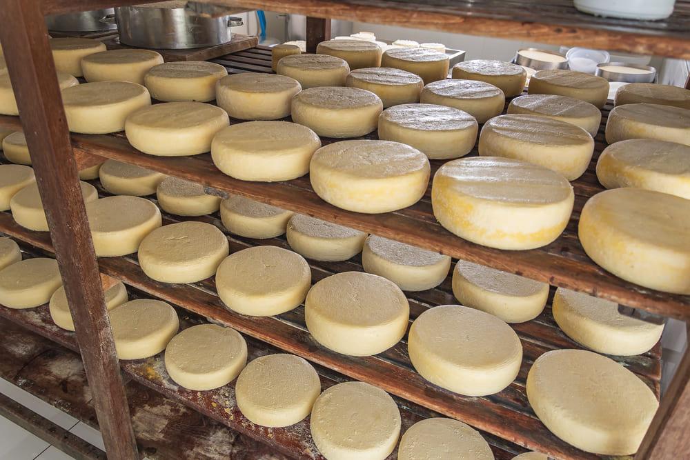 Queijos brasileiros em lista de 50 melhores queijos do mundo