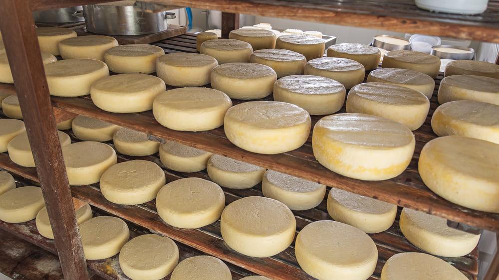 Queijos brasileiros em lista de 50 melhores queijos do mundo