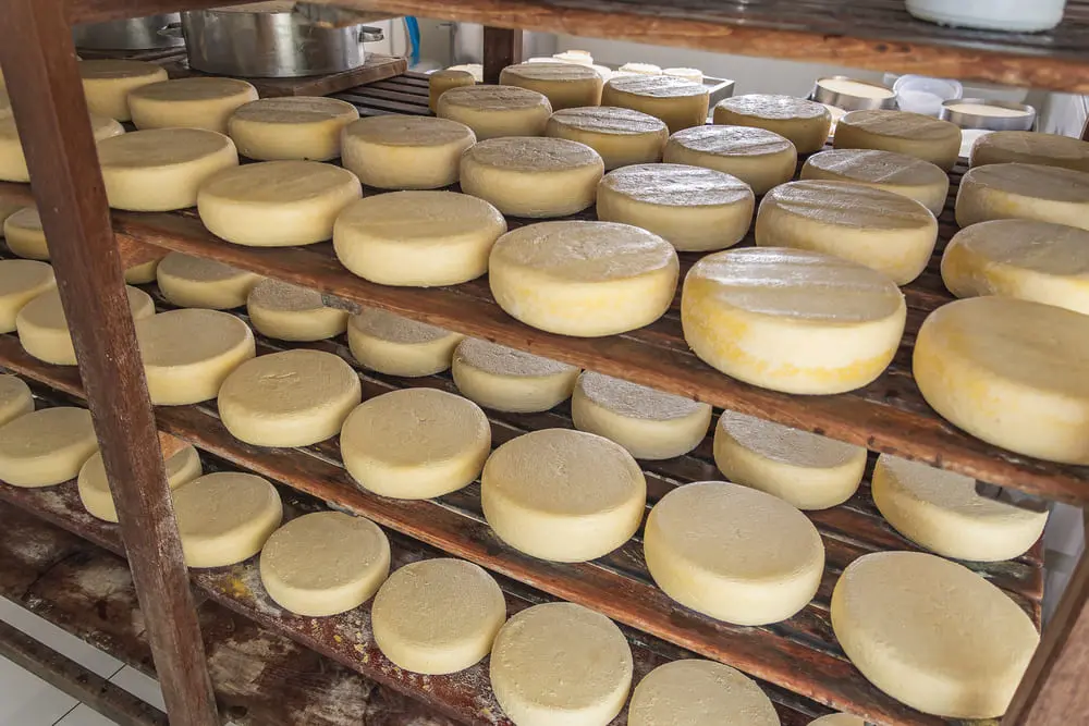 Queijos brasileiros em lista de 50 melhores queijos do mundo