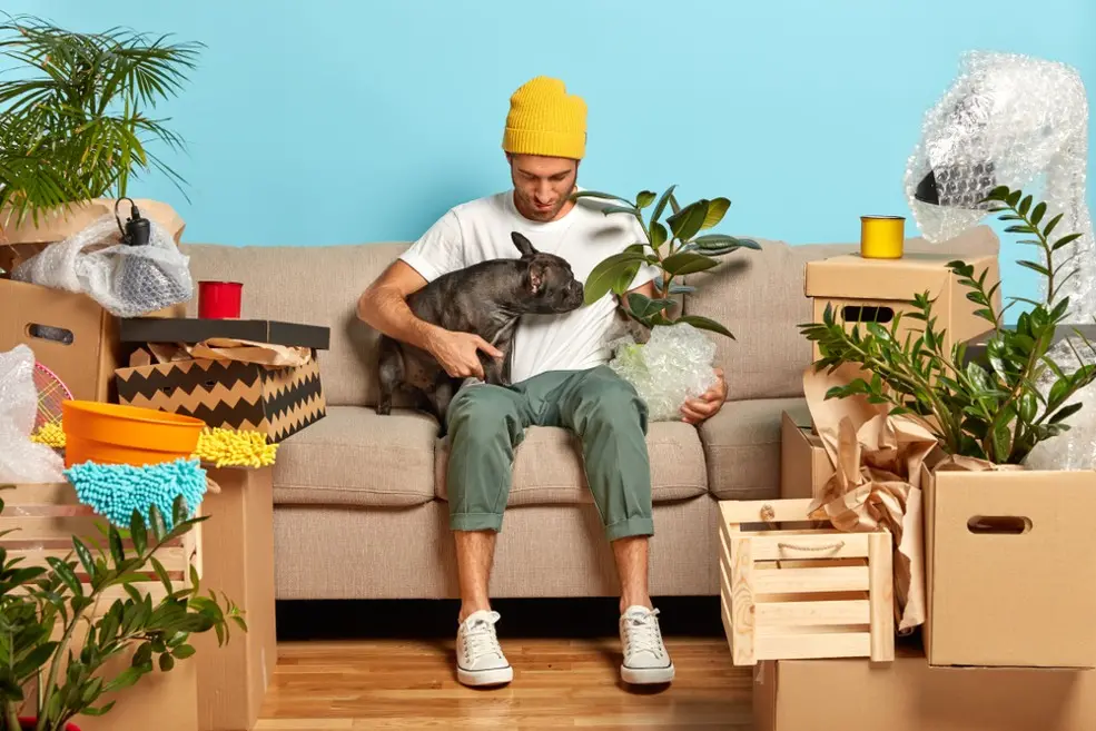 Pet, plantas e residências menores tornaram-se mercados bem rentáveis.