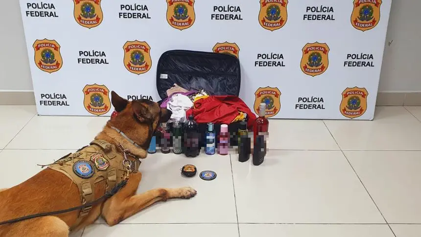 capa da noticia
