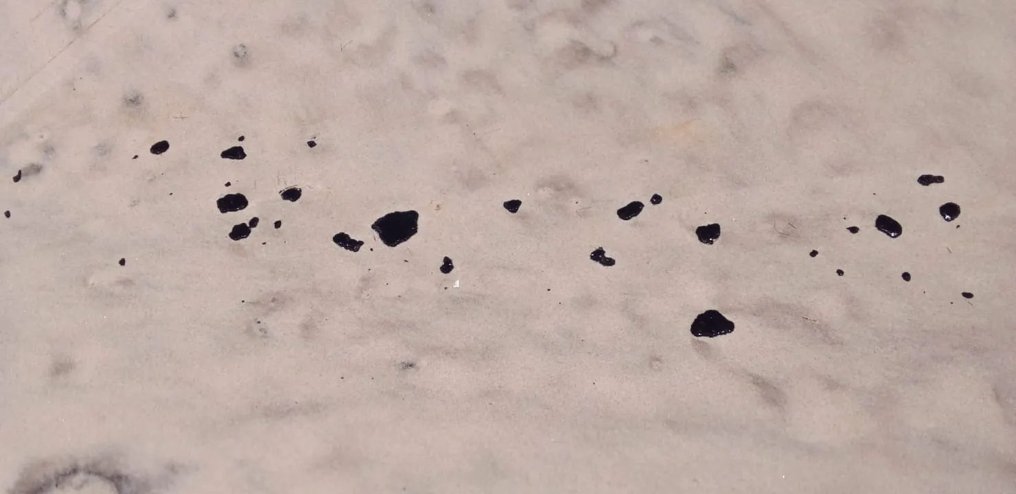 Manchas foram encontradas por pescadores artesanais