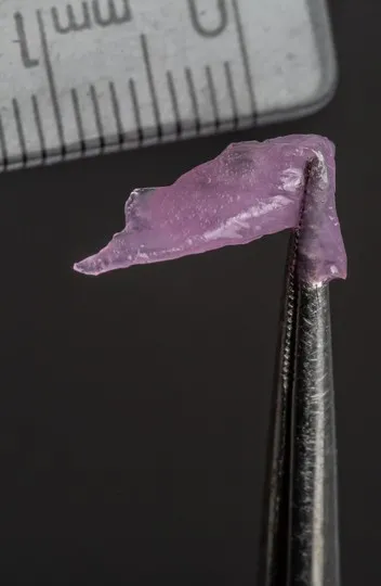Células musculares são estimuladas com nutrientes específicos