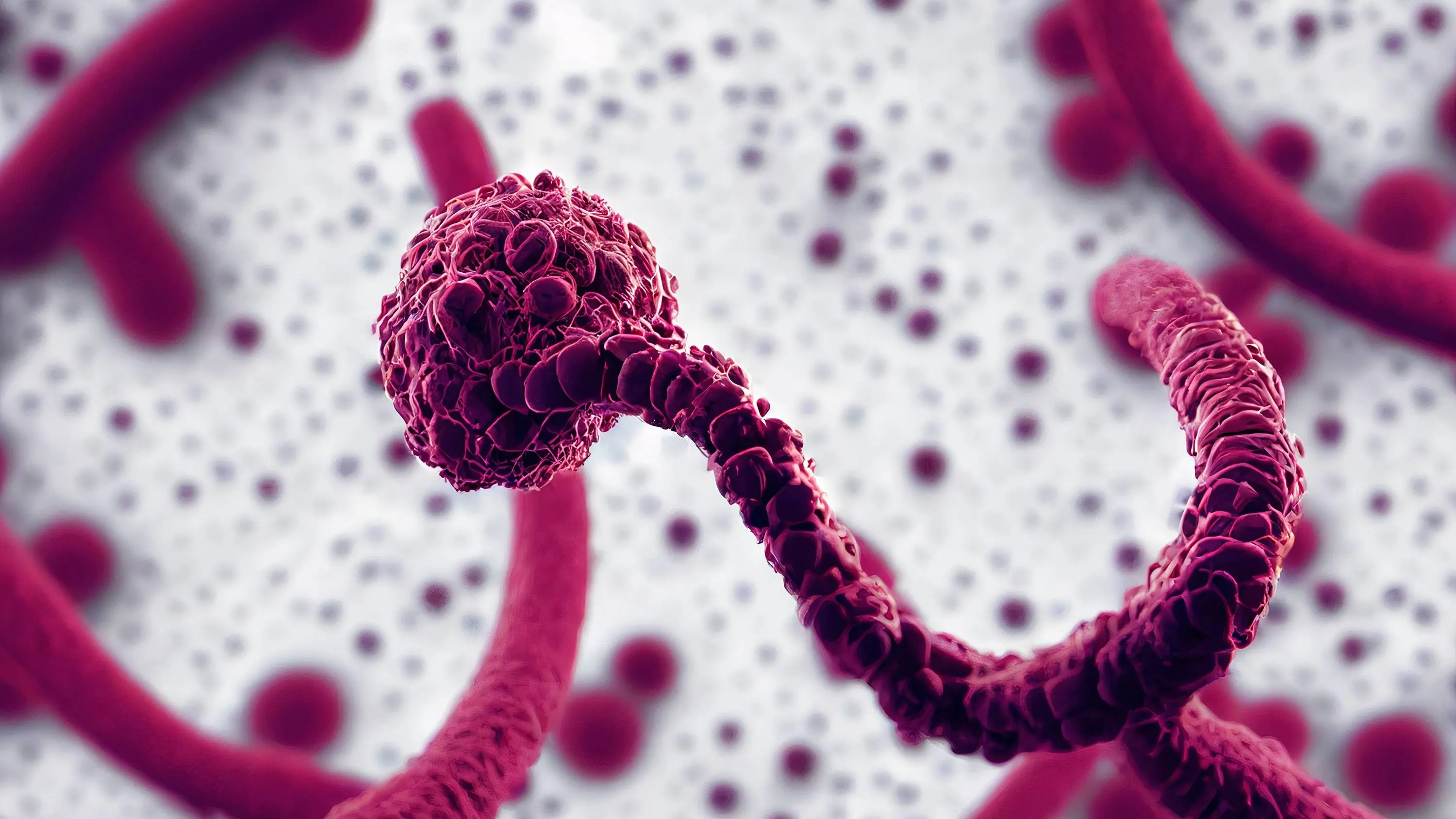 capa da noticia