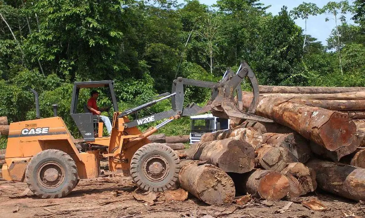 Imagem da notícia Ibama anula despacho de governo Bolsonaro que isentaria R$ 29 bi em multas ambientais
