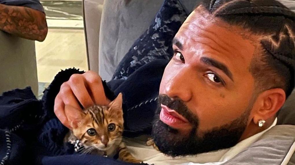 Drake com gato