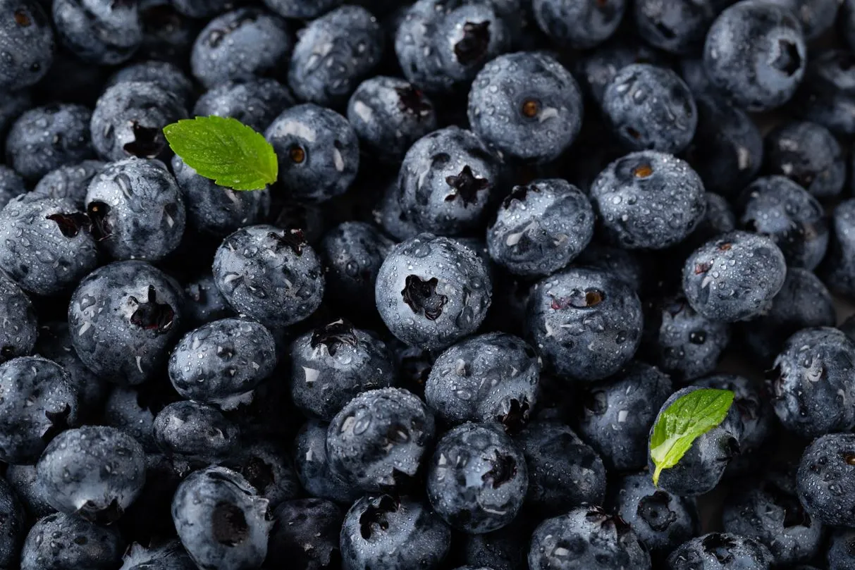 O caroço do açaí é onde se concentram a maior parte dos seus nutrientes