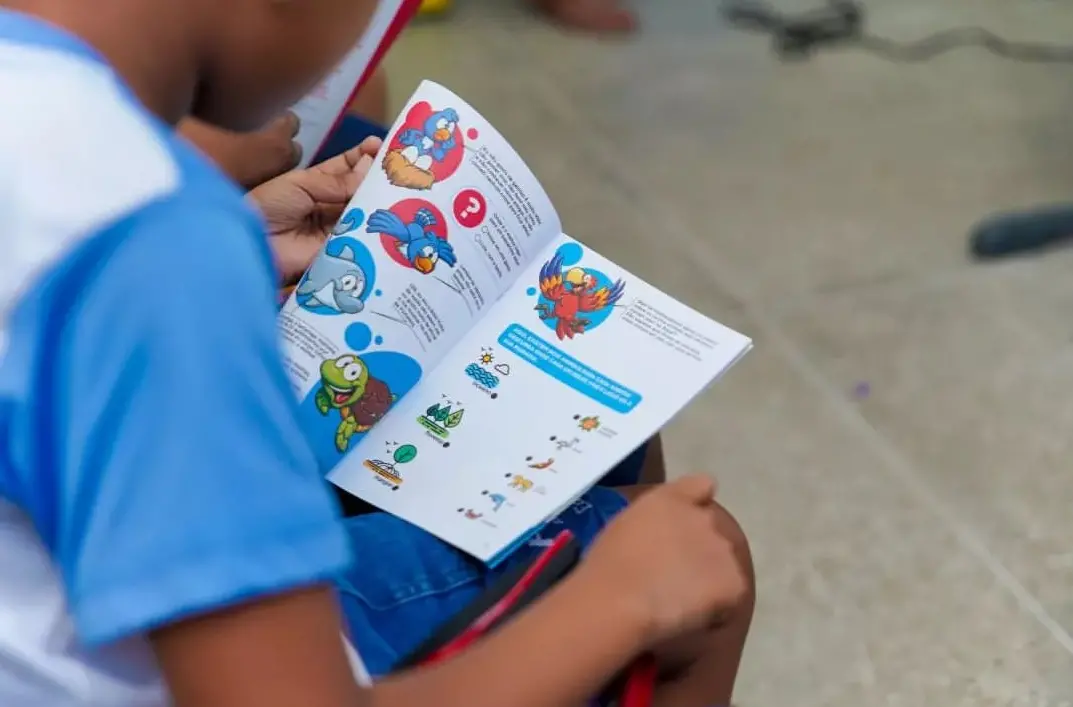 escola, aluno, estudante