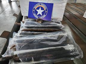 carga de cocaína apreendida pela Receita Federal no Terminal de Cargas de exportação do Aeroporto Internacional de Fortaleza