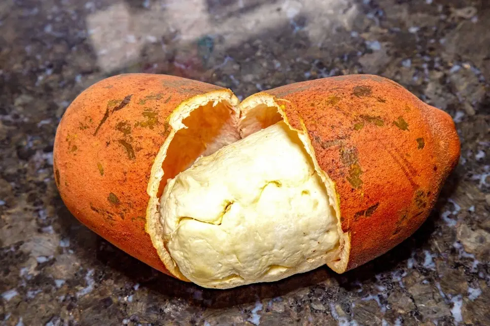 Cupuaçu partido ao meio com a polpa branca