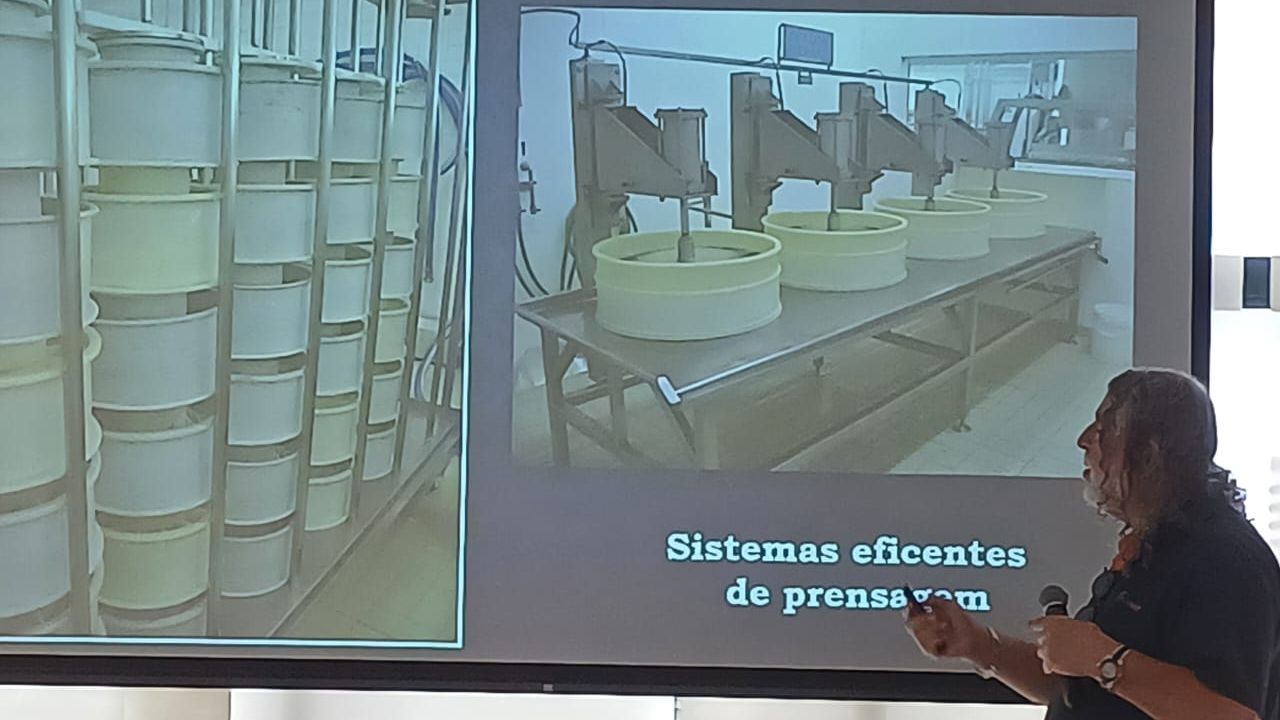Para a Fiec, queijarias do Ceará devem buscar o cooperativismo 3 queij