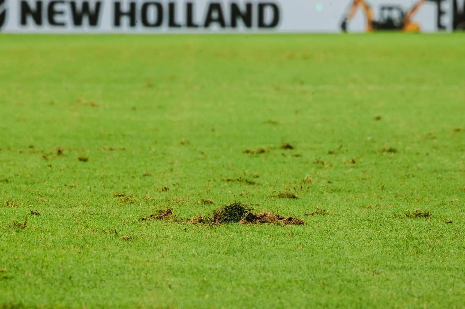 Imagem mostra gramado do Castelão