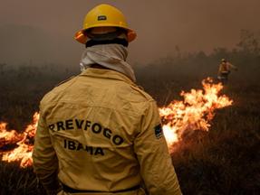 Brigadista do PrevFogo, do Ibama, atua em incêndio florestal