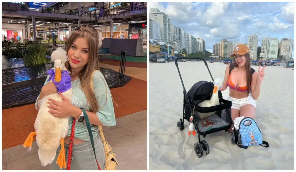 Pato Patolino e Julia