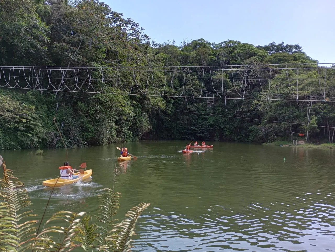 Parque das Trilhas proporciona experiência em contato com a natureza