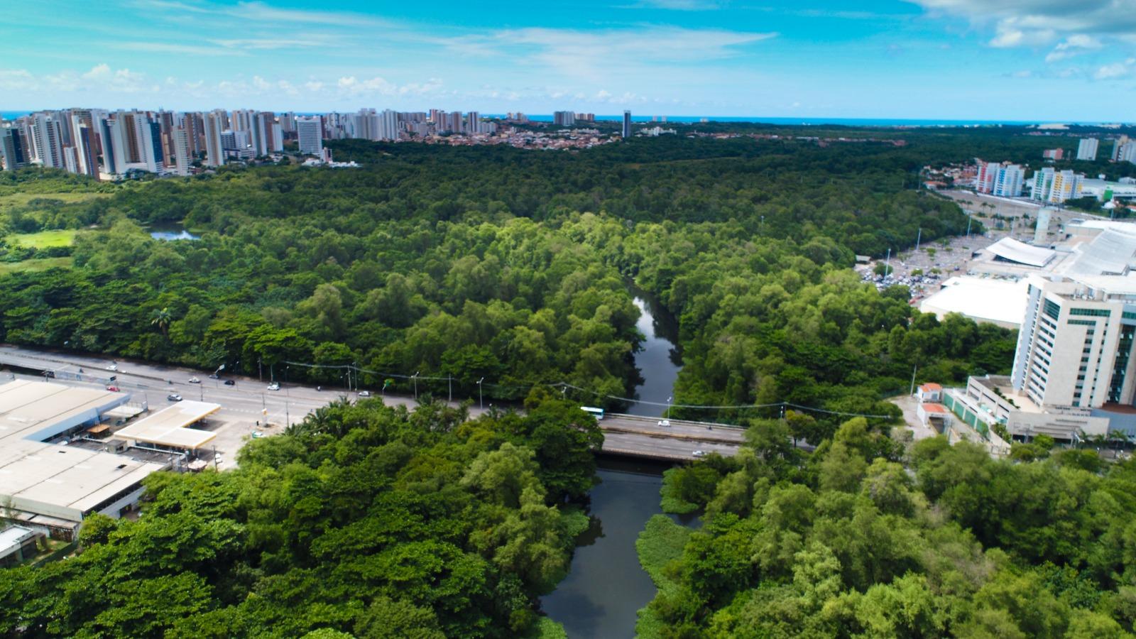 Governo do Ceará inaugura Bosque do Bom Viver no Parque do Cocó - Governo  do Estado do Ceará