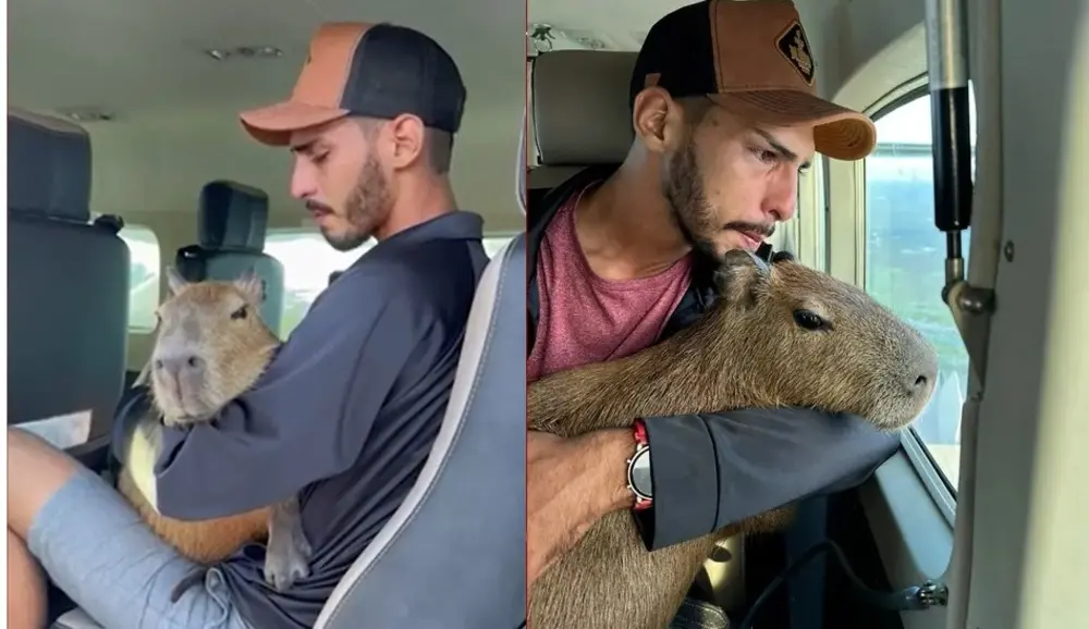 Agenor participou da entrega da capivara ao Ibama