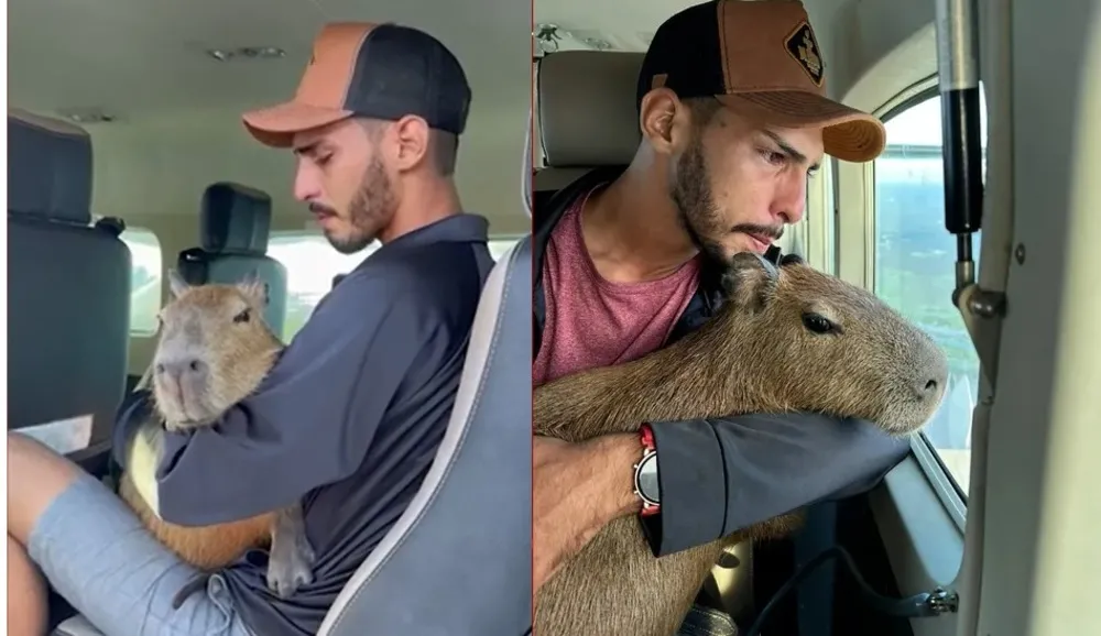 Agenor participou da entrega da capivara ao Ibama