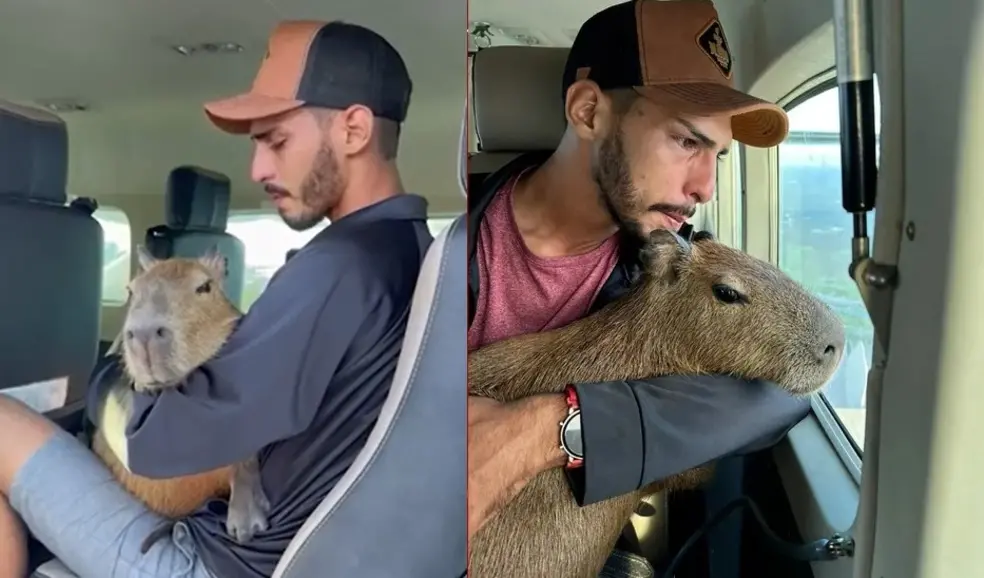 Agenor participou da entrega da capivara ao Ibama