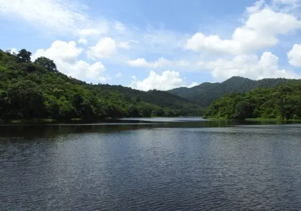 Imagem da notícia Açudes do Ceará atingem 50% da capacidade total pela primeira vez em quase 11 anos 