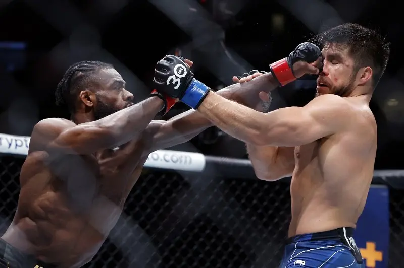 Imagem mostra lutadores de mma