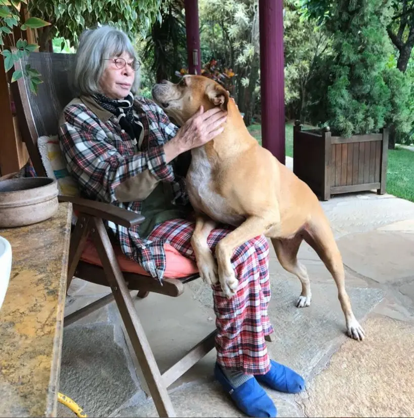 Lula decreta luto oficial de três dias após morte de Rita Lee