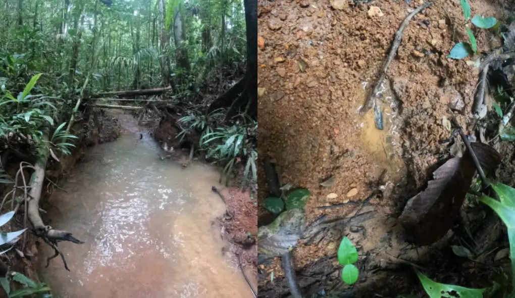 Buscas por crianças e bebê desaparecidos continuam