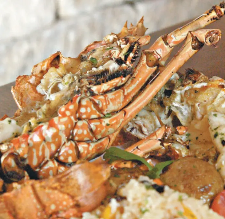 Lagosta ao creme